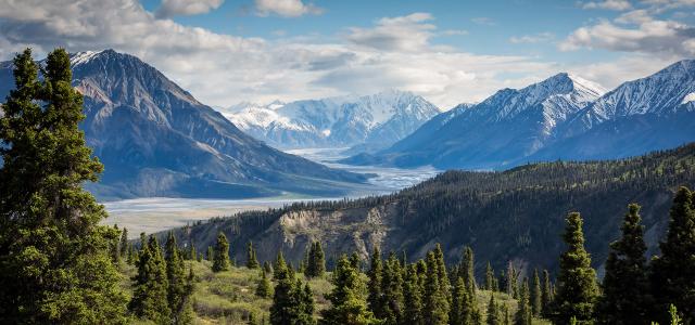 Mountain, River, and Forest